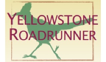 Yellowstone Road Runner